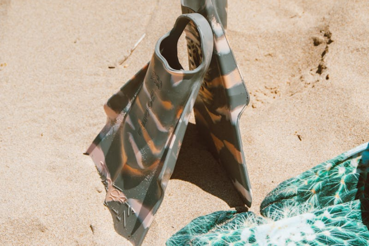 a bird lying on the sand