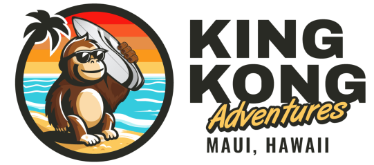 King Kong Adventures