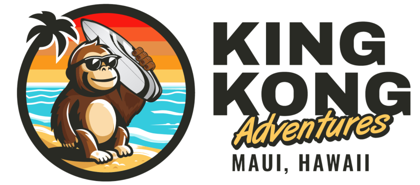 King Kong Adventures logo